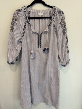 J. Jill Embroidered Striped Tunic Dress in Blue and White